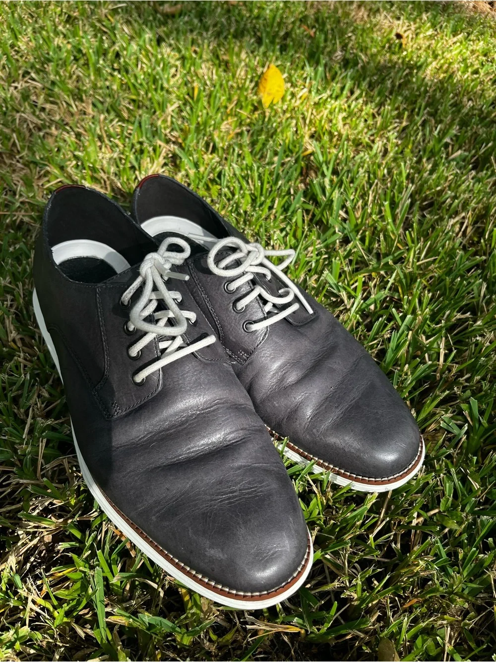 Cole Haan Blue and Brown Leather Lace-Up Oxfords Sz 10.5